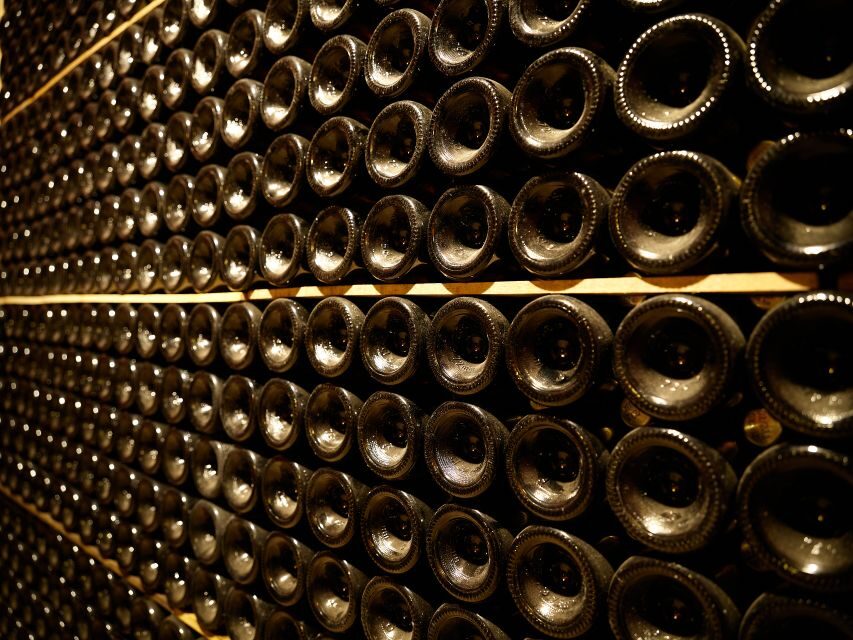 Penedès Vine to Wine: Personalized Cava taste&craft Workshop - From Barcelona to Penedès: the quick escape that matters