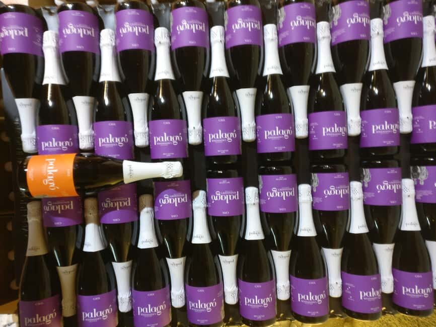 Penedès Vine to Wine: Personalized Cava taste&craft Workshop - Create your cava: choosing, disgorging, finishing, and labeling
