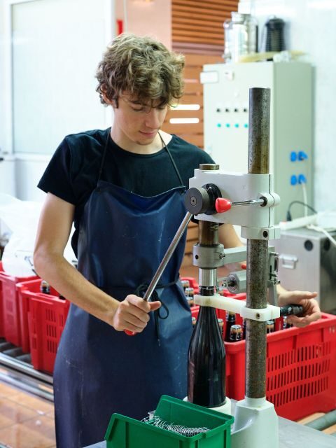 Penedès Vine to Wine: Personalized Cava taste&craft Workshop - Book it or skip it: my honest take