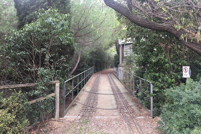 Photography route through the secret nature of Barcelona - Key highlights you’ll feel right away