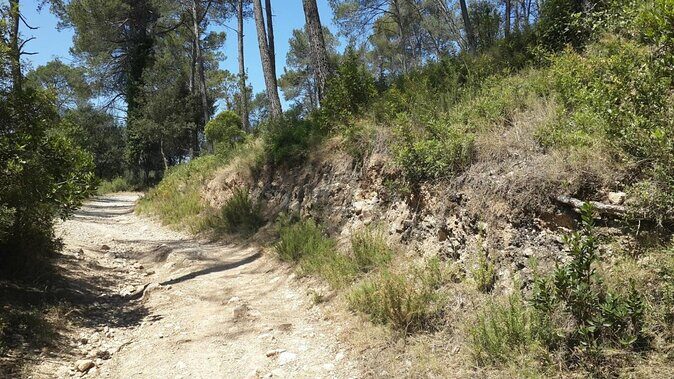 Photography route through the secret nature of Barcelona - Starting at Café Zurich and riding into Collserola