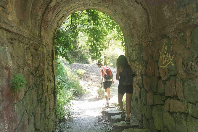 Photography route through the secret nature of Barcelona - Parc de Collserola: where the city noise fades and your camera gets smarter