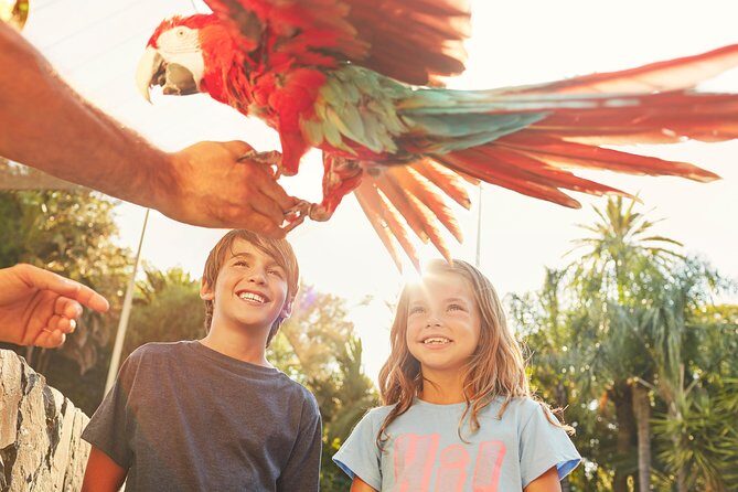 PortAventura Park Day Trip from Barcelona - Key takeaways before you go