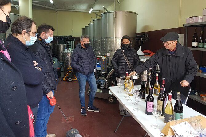 Priorat Wine Tasting Tour from Salou with hotel pickup - Key points before you go