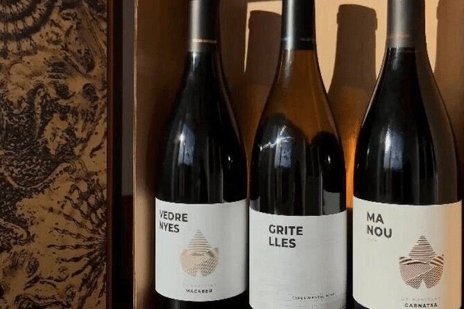 Priorat Wine Tasting Tour from Salou with hotel pickup - Bottles, receipts, and not getting stuck with a surprise