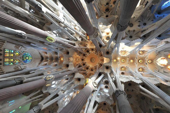 Private Barcelona and Sagrada Familia Tour with Hotel Pick-up - Las Ramblas, Columbus, and Port Vell without the full detour