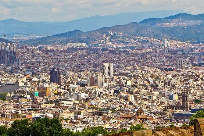 Private Barcelona Half-Day Tour with Local Insights - Las Ramblas: A 30-Minute Stroll From Plaza Cataluyna to the Sea