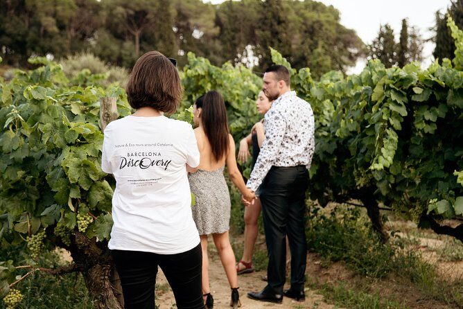 Private Breakfast Winery Experience - Private Wine Tasting Tour - The 8:30 am start that makes the whole morning work