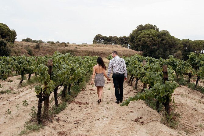 Private Breakfast Winery Experience - Private Wine Tasting Tour - The value question: $309.77 per person, and what justifies it