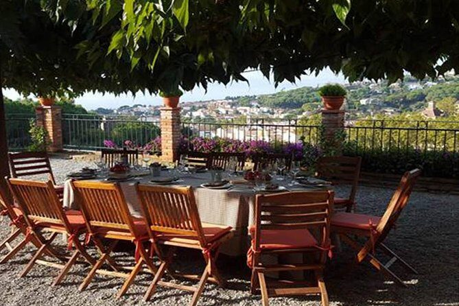 Private Breakfast Winery Experience - Private Wine Tasting Tour - Alella: why this area is a strong choice for wine lovers