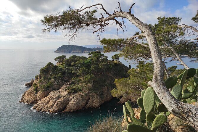 Private Costa Brava Hike and Snorkel from Barcelona with Lunch - Guides: how the best moments get stitched together