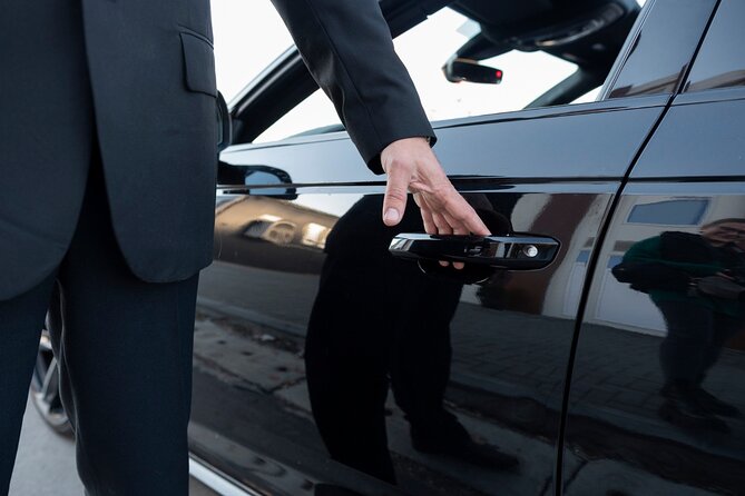 Private Cruise Port to Airport Transfer in Barcelona - The vehicle: new, air-conditioned, and built for group comfort