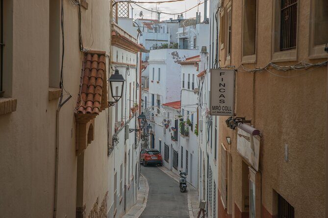 Private Full-Day Tarragona and Sitges - Who This Private Tarragona and Sitges Trip Fits Best