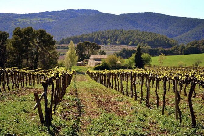 Private Montserrat Tour, Wine Taste & Local Lunch from Barcelona - Montserrat Museum: small building, big art names