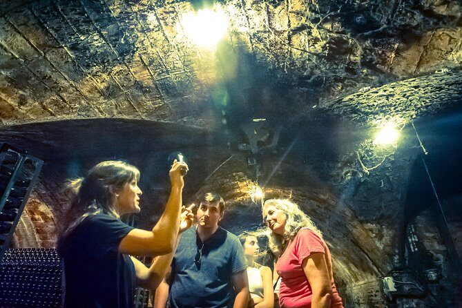 Private Montserrat with Wine Tasting Full Day Trip from Barcelona - The Boys Choir (La Escolania): When You Can Hear It