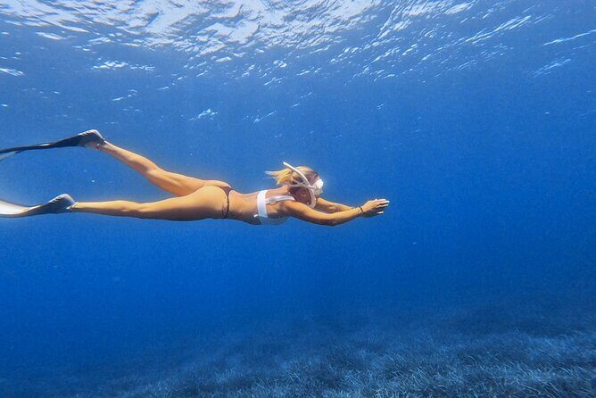 Private Snorkeling Boat Sailing Experience Included - Price and value: is $50.60 fair for this?