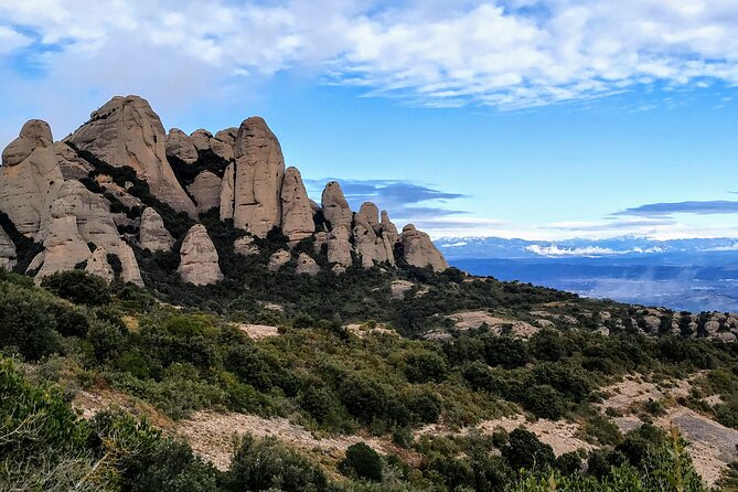 Private Tour to Montserrat with a specialized local guide - Price and value: what you’re really paying for at $451.54 per person