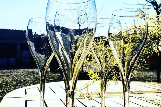 Private Tour: Top Three Organic Wineries & Local Lunch Included - Stop 1: Sant Cugat Sesgarrigues and the Roman Via Augusta wine estate