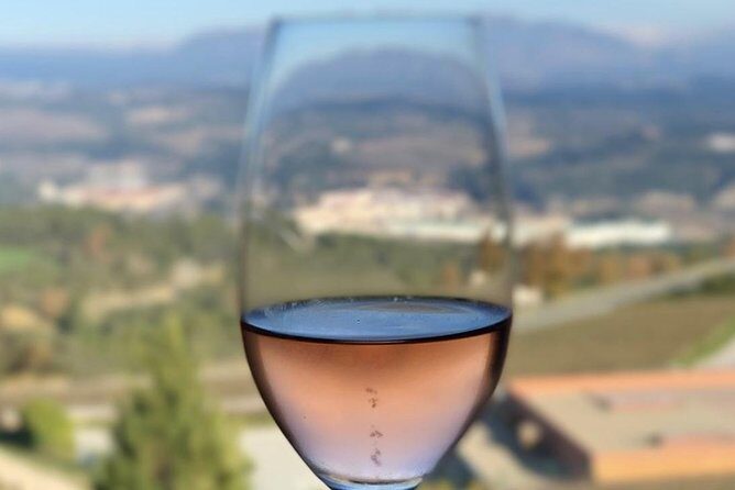Private Tour: Top Three Organic Wineries & Local Lunch Included - Who should book this organic wine tour from Barcelona