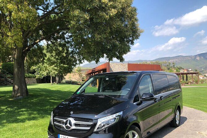 Private Transfer from Barcelona City to the Port (or vice versa) - How the Pickup Works at Your Hotel or the Cruise Terminal