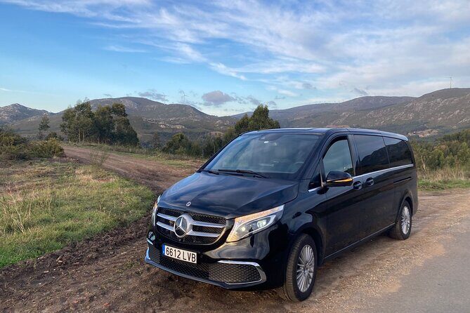 Private Transportation from Granada City to Malaga Airport - Arriving at Málaga-Costa del Sol: Where You’ll Be Dropped Off