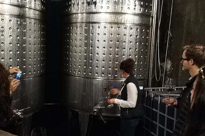 Private Wine & Cava Tasting Tour In Penedes with hotel pick up - How a “private” Penedès day trip actually feels