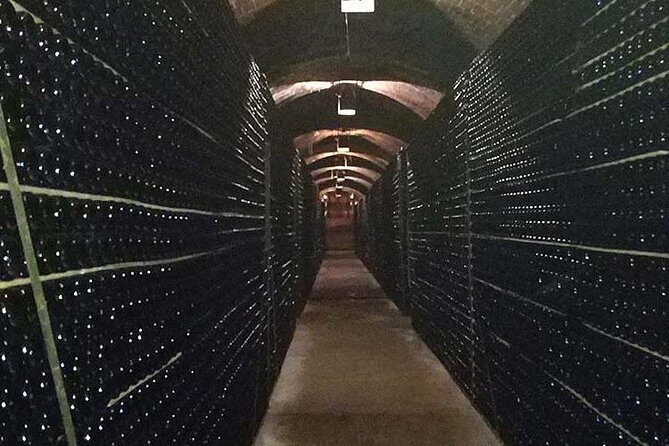 Private Wine & Cava Tasting Tour In Penedes with hotel pick up - Food on the ride: snacks, organic tapas, and pairings that help you learn