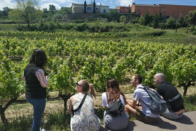 Private Wine & Cava Tasting Tour In Penedes with hotel pick up - Can you buy bottles to take home?