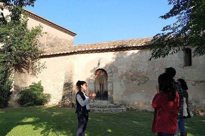Private Wine & Cava Tasting Tour In Penedes with hotel pick up - Who this tour is best for (and who should skip it)