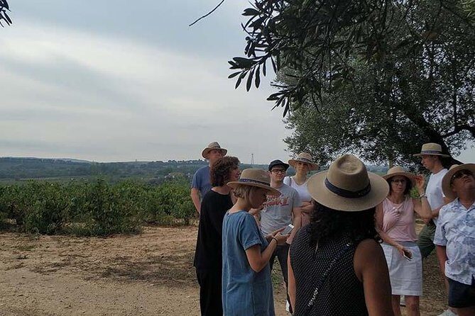 Private Wine & Cava Tasting Tour In Penedes with hotel pick up - Leaving Barcelona: Montserrat views and an easy morning start