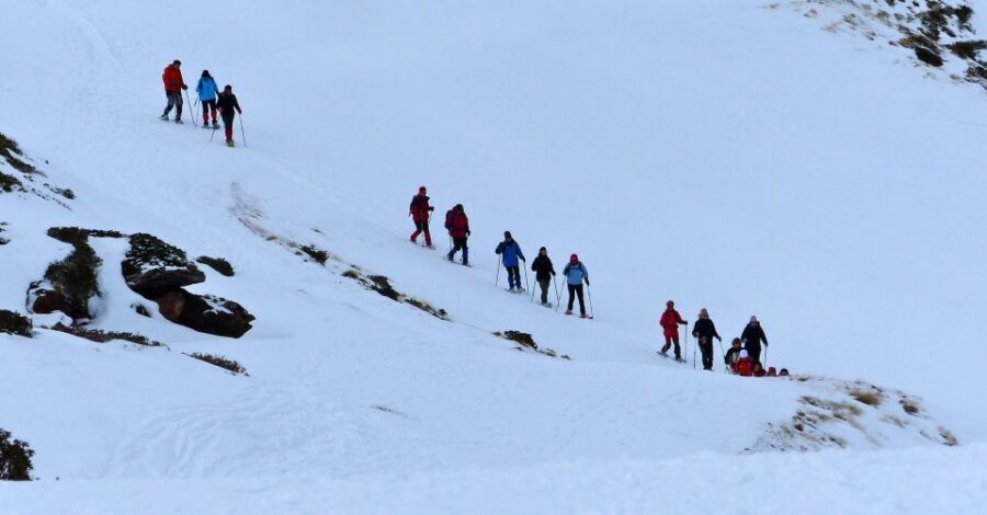 Pyrenees: A-day Hike with a Choice of 3 Levels - Views From Cadi, Carlit, or Balandrau (Route Dependent)