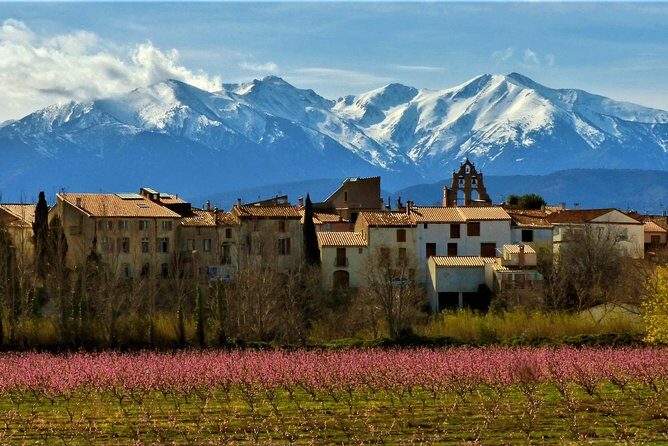 Pyrenees Private Tour from Barcelona with Easy Hike & Cogwheel Train - The Cremallera de Núria cogwheel/funicular ride to Nuria Valley