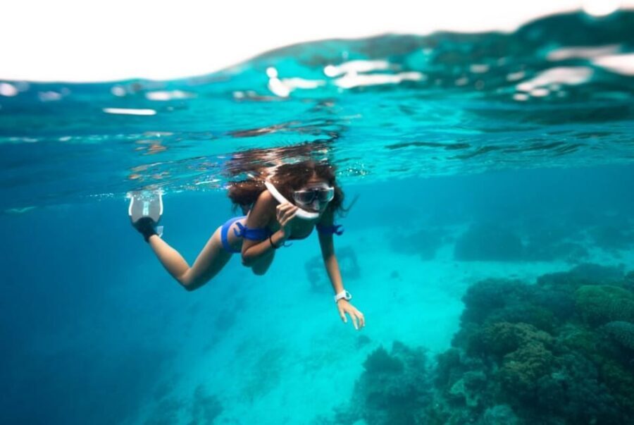 Roses boat trip Special: snorkeling in Cap de Creus - Snorkeling in Cap de Creus: what your water time is really like