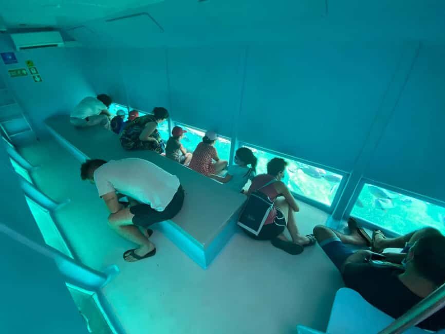 Roses: Cruise to Cala Murtra with Underwater Views - Cala Murtra Stop: A Cliff Coves Break With Naturist Context