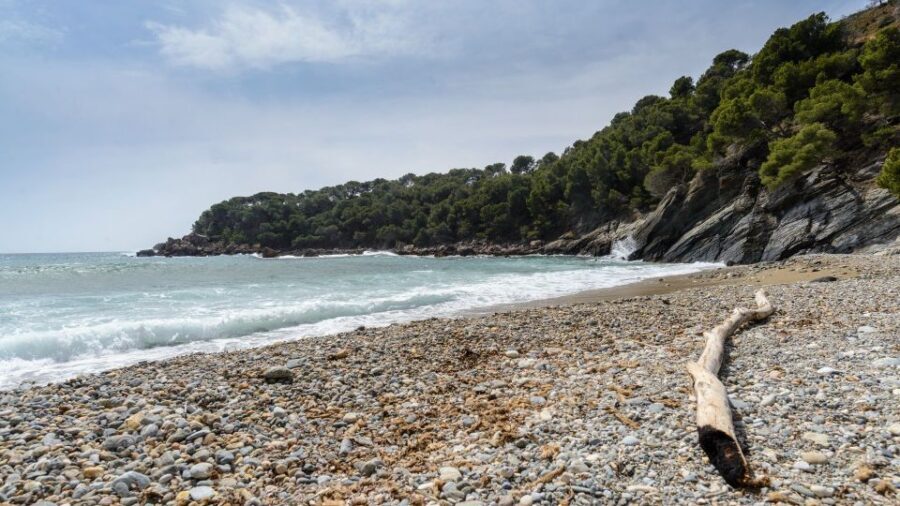 Roses: Cruise to Cala Murtra with Underwater Views - Onboard Comfort: Audio Guide on Your Phone and a Bar Service