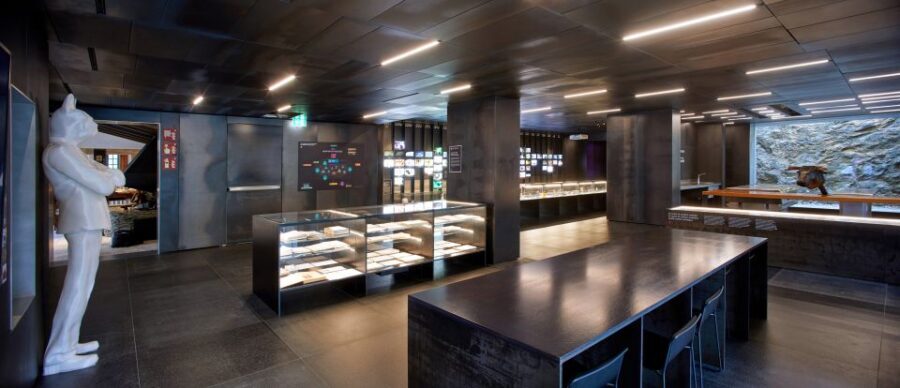 Roses: elBulli1846 Museum Entry Ticket - What elBulli1846 shows (and why it matters)