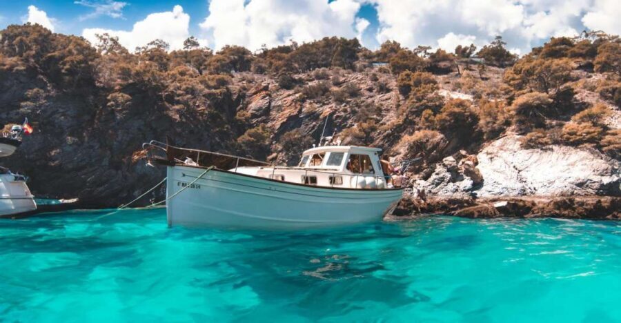 Roses: Rent the boat and live an unforgettable experience - Cruising the Natural Park coast: what the guide adds