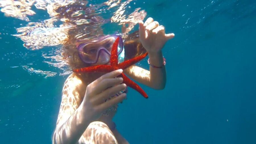 Roses: Rent the boat and live an unforgettable experience - Price and value: $736 for up to 11 can be a bargain