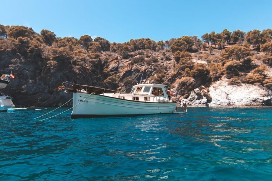 Roses: Rent the boat and live an unforgettable experience - Who this private Roses boat cruise is best for