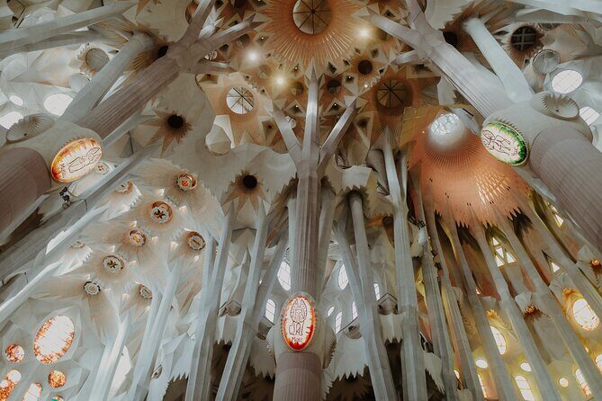 Sagrada Familia Guided Tour with Skip the Line Ticket - Inside the Basilica: Light, Color, and Columns That Feel Like Trees