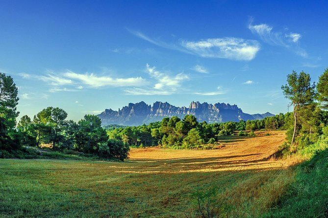 Sagrada Familia & Montserrat Small Group Tour with Hotel pick-up - Barcelona Cathedral area: what’s included and what isn’t