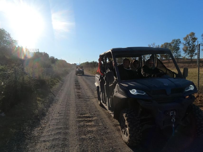 Salou: Buggy Safari with Hotel Transfer - Off-Road Dirt Roads, Forest Paths, and Countryside Speed