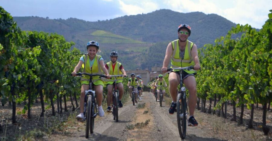 Salou: Easy Bike Tour with Wine Tasting - Vineyard-to-winery rhythm: learning while you’re still close to the vines