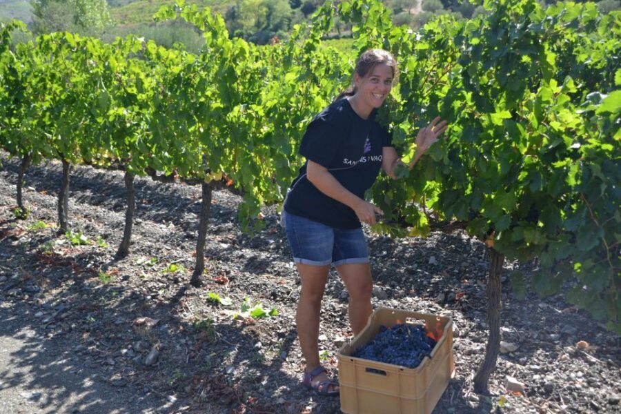 Salou: Easy Bike Tour with Wine Tasting - Price and value: $60 for bike + wine + guidance + logistics
