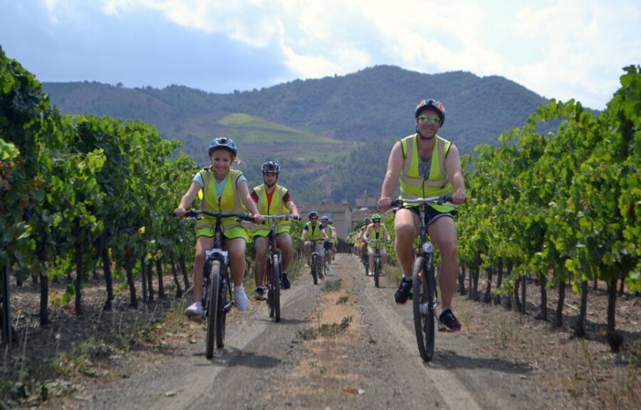 Salou: Easy Bike Tour with Wine Tasting - Who should book this easy bike and wine tour