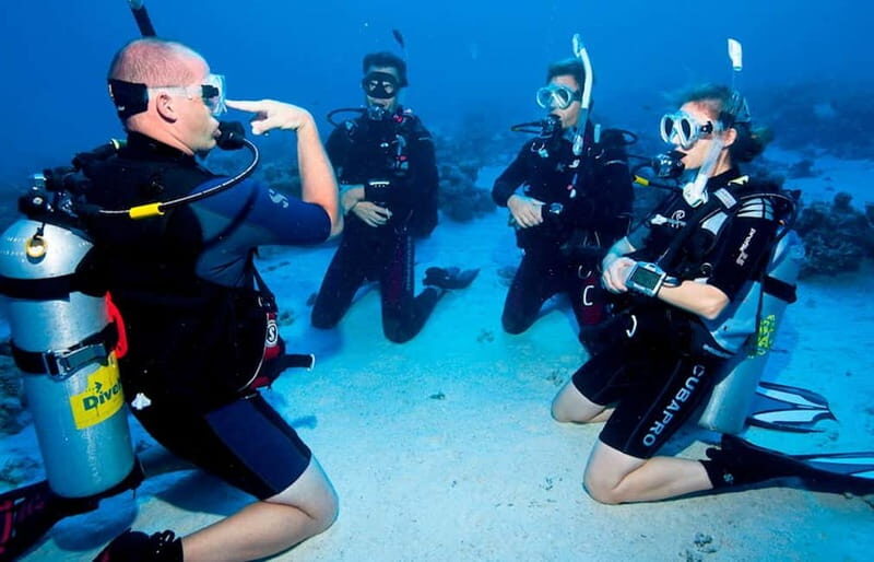 Salou: Fun Scuba Dive with Instructor (No License Needed) - Your 90-minute flow: safety briefing, gear basics, then water