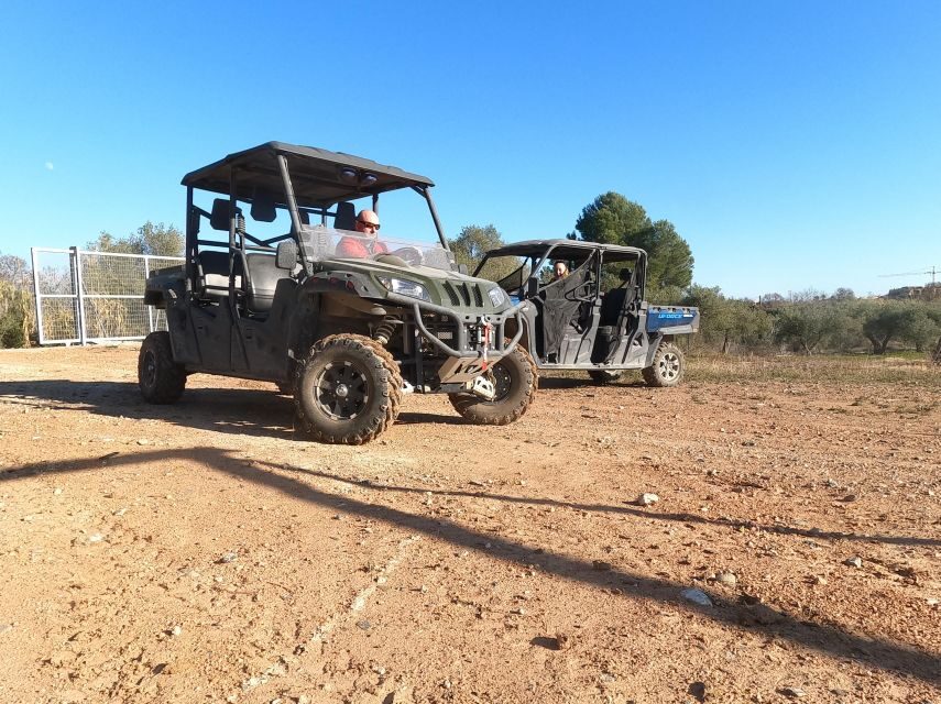 Salou: Kid's Buggy Driving Experience in Safe Environment - Key Highlights to Know Before You Go