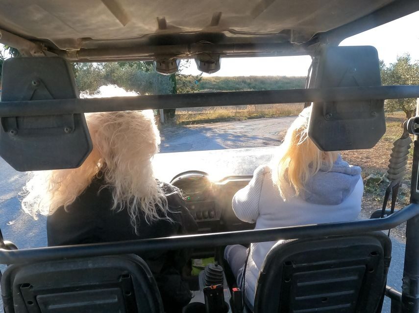 Salou: Kid's Buggy Driving Experience in Safe Environment - Price and Value in Real Family Terms