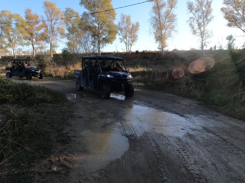 Salou: Kid's Buggy Driving Experience in Safe Environment - Staff and Languages: Expect Clear Instructions