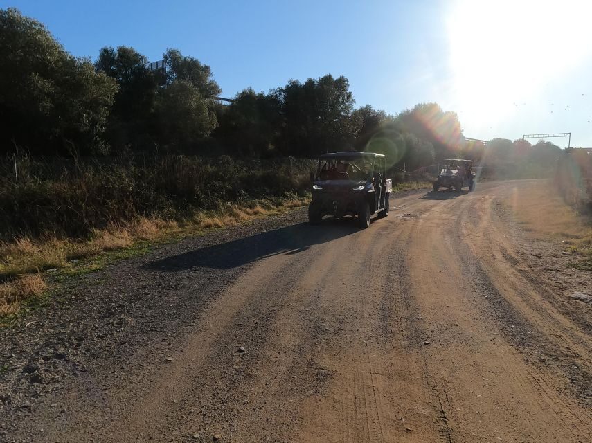 Salou: Kid's Buggy Driving Experience in Safe Environment - Hotel Pickup in Salou: Easy Start, Fewer Headaches